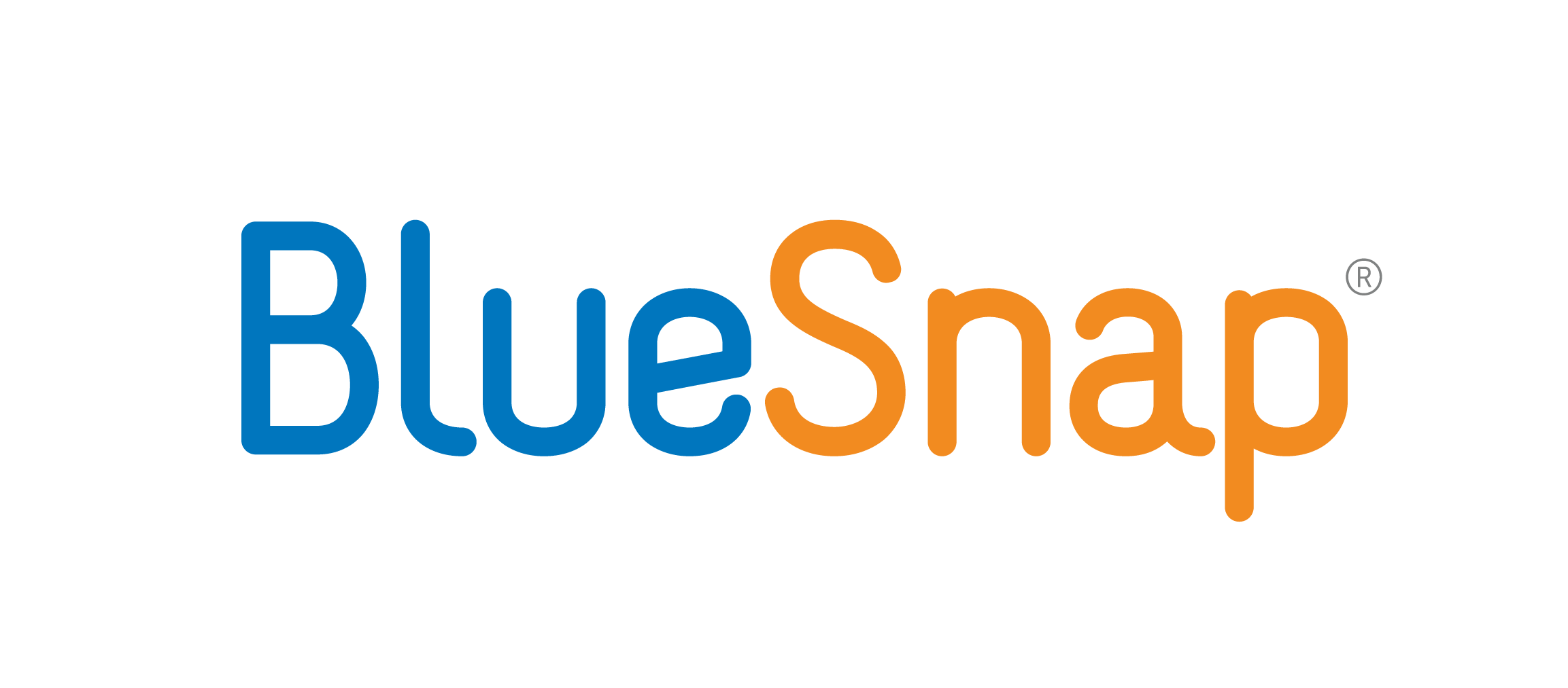 Logo for the partner BlueSnap